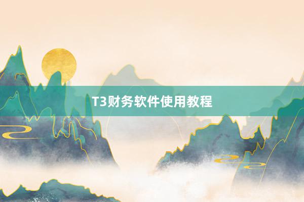T3财务软件使用教程