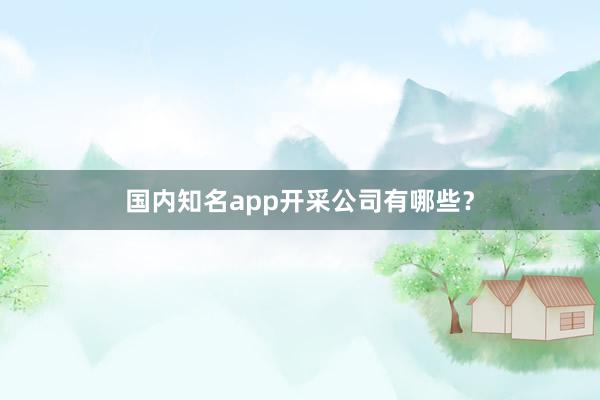 国内知名app开采公司有哪些？