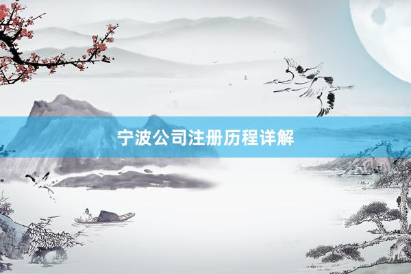 宁波公司注册历程详解