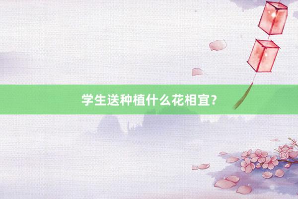 学生送种植什么花相宜？