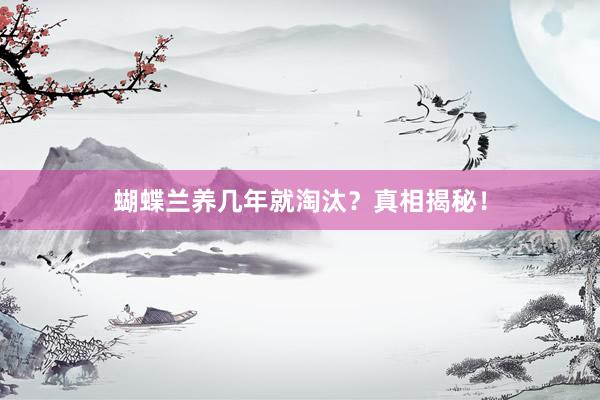 蝴蝶兰养几年就淘汰？真相揭秘！