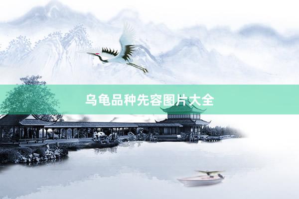 乌龟品种先容图片大全