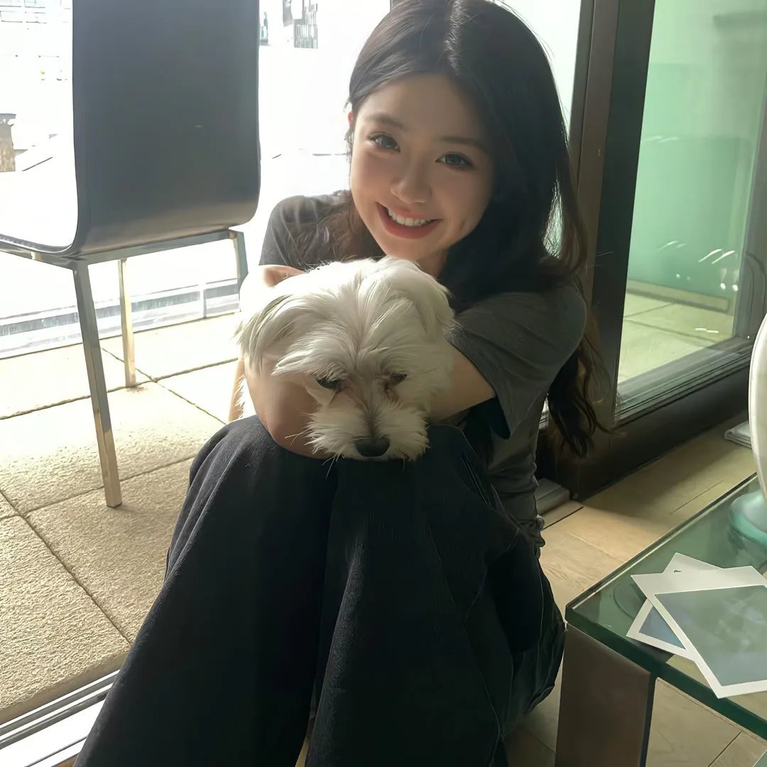 江山如尘爱如音